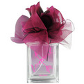 Fragrance