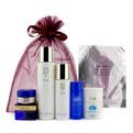 Shiseido