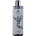 WOODS OF WINDSOR LAVENDER by Woods of Windsor WOODS OF WINDSOR LAVENDER by Woods of Windsor