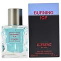 BURNING ICE by Iceberg