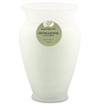 GREEN TEA & GINGER ESSENTIAL BLEND by Green Tea & Ginger Essential Blend for UNISEX