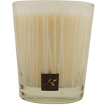 SENSORY FUSION KIWI COCONUT by UNISEX