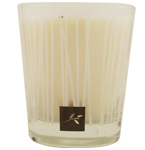 SENSORY FUSION MANGO GINGER by UNISEX
