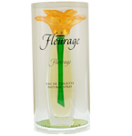 Visari Edt Spray