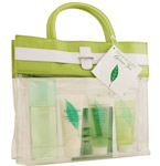 GREEN TEA by Elizabeth Arden - EAU DE PARFUM SPRAY 3.3 OZ & HONEY DROPS BODY CREAM 3.3 OZ & SHOWER GEL 3.3 OZ & SHAMPOO 3.3 OZ & SPA BAG