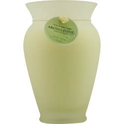 GREEN TEA & GINGER ESSENTIAL BLEND by Green Tea & Ginger Essential Blend for UNISEX