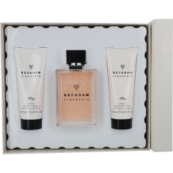 BECKHAM SIGNATURE STORY by Beckham Women's Discount Perfume