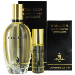 STALLION cologne