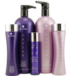 ALTERNA hair care