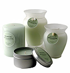 GREEN TEA & GINGER ESSENTIAL BLEND