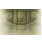 OLIVE BLOSSOM & LILAC ESSENTIAL BLEND candles