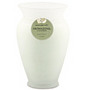 GREEN TEA & GINGER ESSENTIAL BLEND by Green Tea & Ginger Essenti