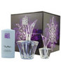 ANGEL VIOLET by Thierry Mugler