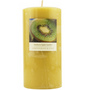 LEMONGRASS & KIWI  ESSENTIAL BLEND by LEMONGRASS & KIWI  ESSENTIAL BLEND #163974