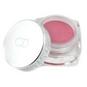 CHRISTIAN DIOR by Christian Dior #172035