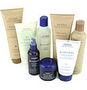 Aveda Damage Remedy Intensive Restructuring Treatment size: 4.2 oz.