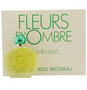 FLEURS D'OMBRE JASMIN LILAS
