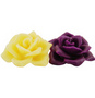 ROSE FANTASY
