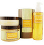 SENSORY FUSION MANGO GINGER