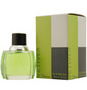 VETIVER DANA