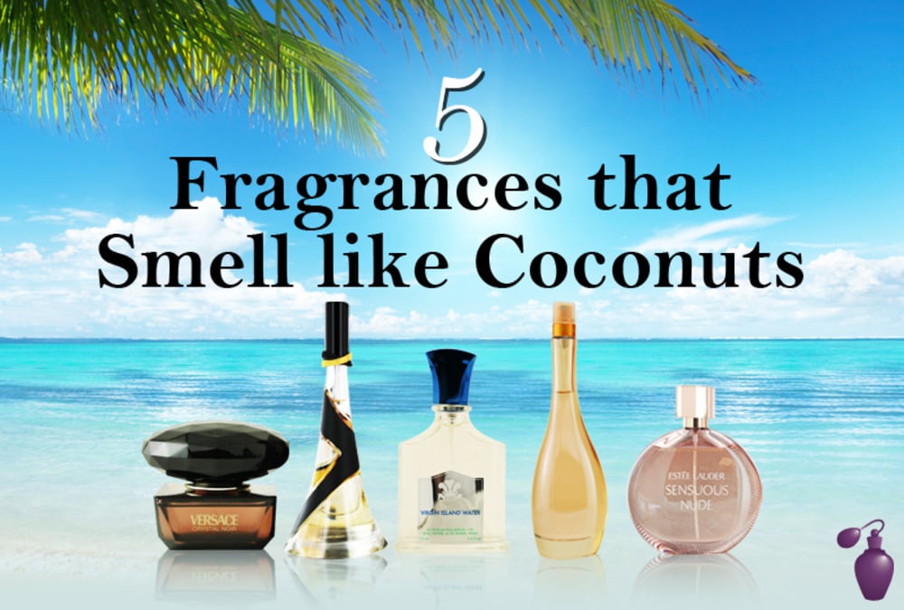 what do the brazilian perfumes smell like coconut｜TikTok Search