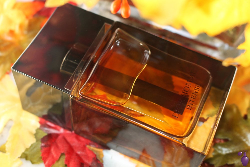 Dior homme parfum fragrancenet outlet