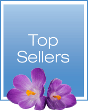 Top Sellers