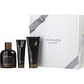 DOLCE & GABBANA INTENSO by Dolce & Gabbana