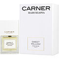 CARNER BARCELONA SWEET WILLIAM by CARNER