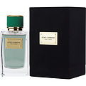 DOLCE & GABBANA VELVET CYPRESS by Dolce & Gabbana