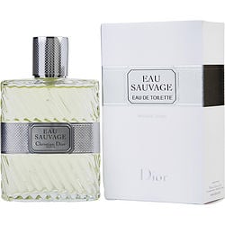 Basenotes dior sauvage 2025