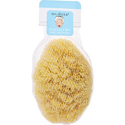 Spa Accessories by Spa Accessories NATURAL YELLOW SEA SPONGE - LARGE for UNISEX 195437