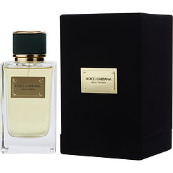 DOLCE & GABBANA VELVET VETIVER by Dolce & Gabbana for UNISEX