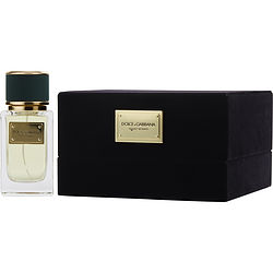 dolce and gabbana velvet vetiver
