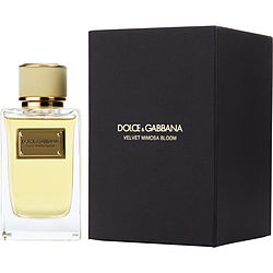 DOLCE & GABBANA VELVET MIMOSA BLOOM by Dolce & Gabbana for WOMEN