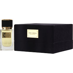 DOLCE & GABBANA VELVET PATCHOULI by Dolce & Gabbana for UNISEX