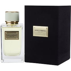 DOLCE & GABBANA VELVET PURE by Dolce & Gabbana for WOMEN