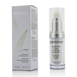 Skin and Body Care