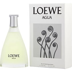 Loewe Agua De ( PACKANGING)