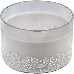 Cashmere Ridge Scented by VALE SOY WAX BLEND CANDLE - 25 OZ. BURNS APPROX. 80 HRS. for UNISEX