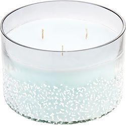 Woodland Bluebell Scented by VALE SOY WAX BLEND CANDLE - 28 OZ. BURNS APPROX. 80 HRS. for UNISEX photo