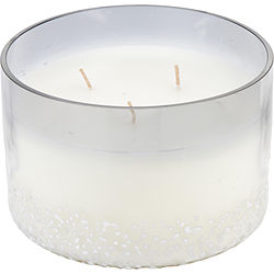 Balsam & Birch Scented by VALE SOY WAX BLEND CANDLE - 28 OZ. BURNS APPROX. 80 HRS. for UNISEX photo