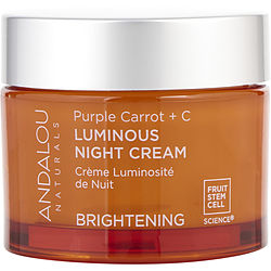 Andalou Naturals by Andalou Naturals Purple Carrot + C Luminous Night Cream -50ml/1.7OZ for WOMEN