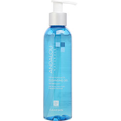 Andalou Naturals by Andalou Naturals Citrus Kombucha Cleansing Gel -177ml/6OZ for WOMEN