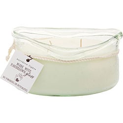 Driftwood & Sea Salt by Northern Lights 2 WICK CANDLE 14 OZ