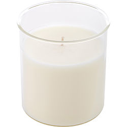 Sparkling Champagne by Northern Lights ESQUE CANDLE INSERT 9 OZ for UNISEX