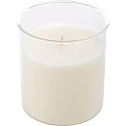 Sparkling Champagne by Northern Lights ESQUE CANDLE INSERT 9 OZ for UNISEX 465872