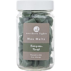 Evergreen Forest by Northern Lights SIMMERING FRAGRANCE CHIPS - 8 OZ JAR CONTAINING 100 MELTS for UNISEX