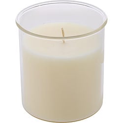 Candied Cinnamon by Northern Lights ESQUE CANDLE INSERT 9 OZ for UNISEX