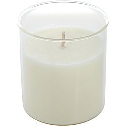 Lavender & Honey by Northern Lights ESQUE CANDLE INSERT 9 OZ for UNISEX